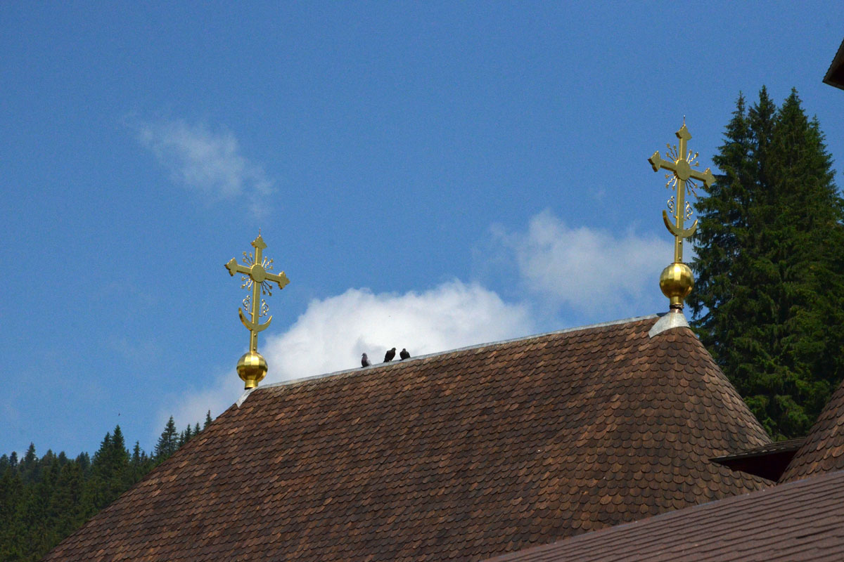 Îi şade mai bine în icoană Îi şade mai bine în icoană