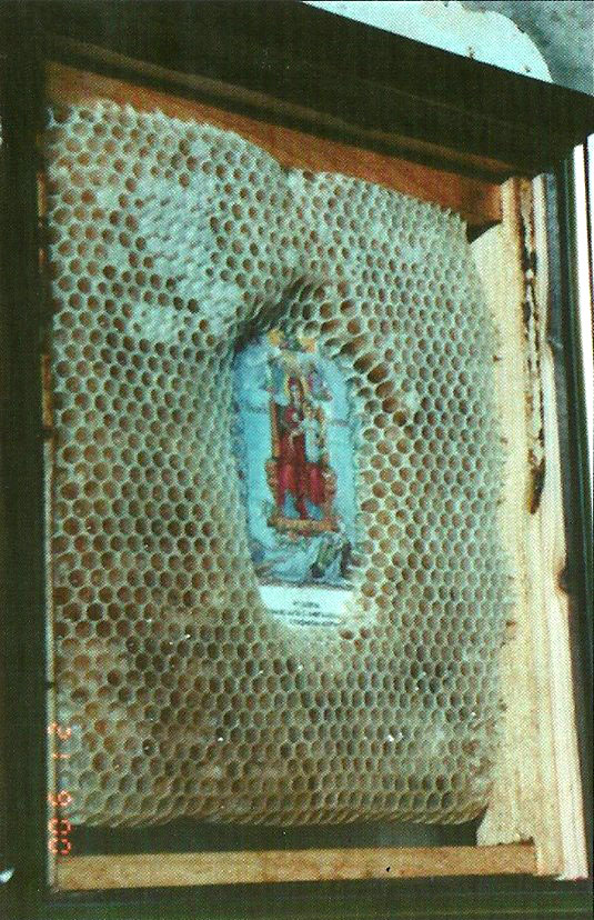 Cinstea albinelor față de Sfintele icoane Cinstea albinelor față de Sfintele icoane