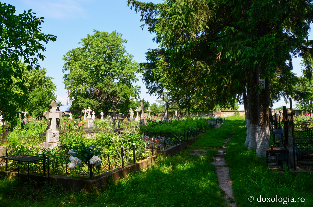 Pași în veșnicie: cimitirul Mănăstirii Războieni / Foto: Maria Burlă Pași în veșnicie: cimitirul Mănăstirii Războieni