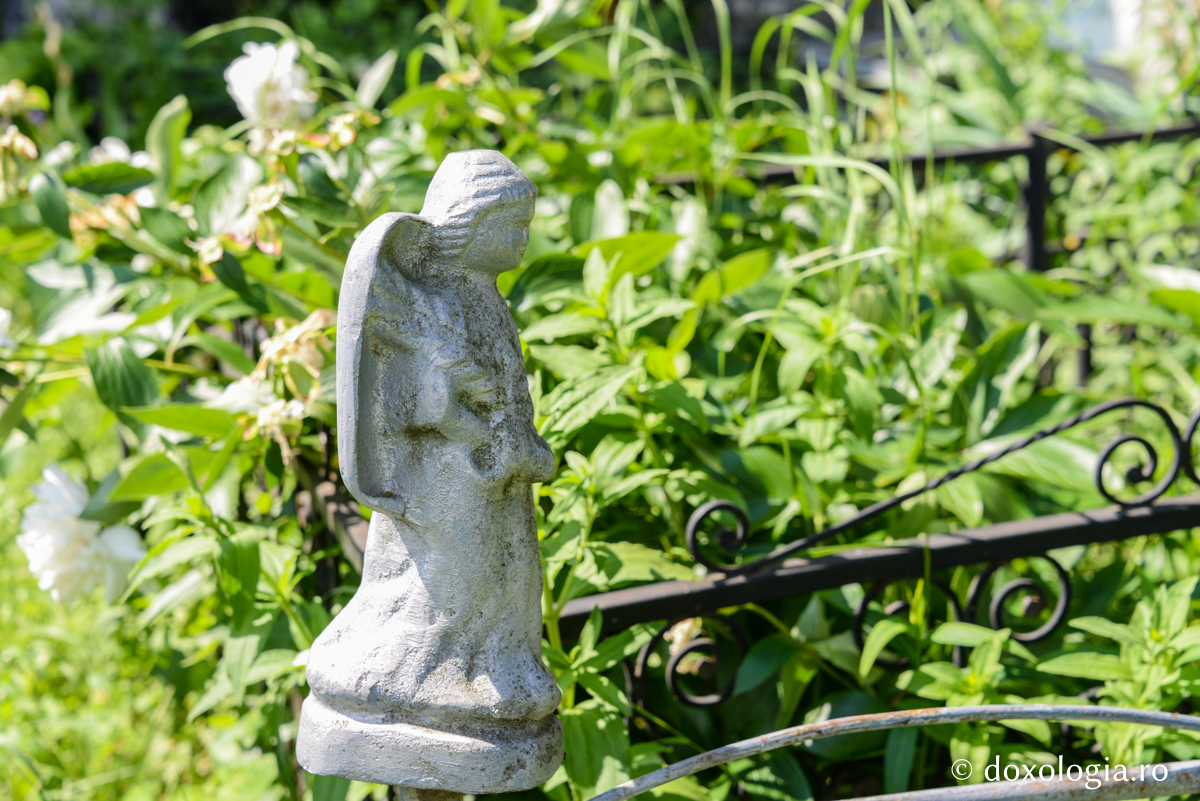 Pași în veșnicie: cimitirul Mănăstirii Războieni / Foto: Ștefan Cojocariu Pași în veșnicie: cimitirul Mănăstirii Războieni