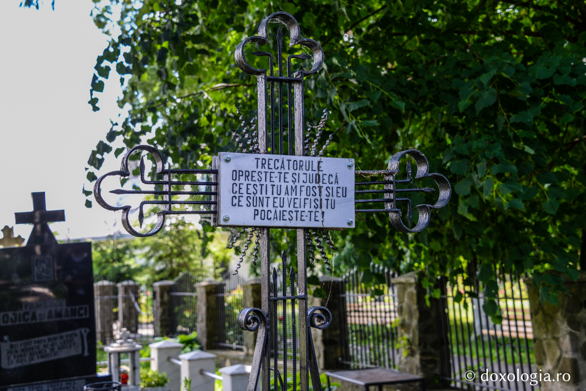 Pași în veșnicie: cimitirul Mănăstirii Războieni / Foto: Ștefan Cojocariu Pași în veșnicie: cimitirul Mănăstirii Războieni