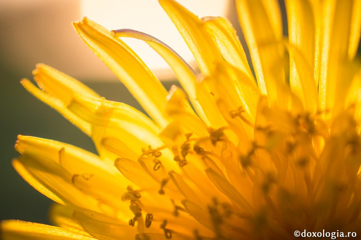 Foto: Oana Nechifor Cum putem recâștiga pacea?