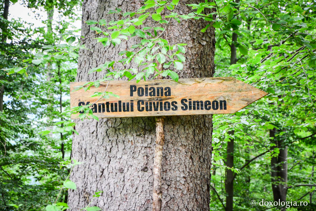 Cum s-a născut prima biserică de la Pângărați / Foto: Maria Burlă indicator cu Poiana Sfântului Cuvios Simeon
