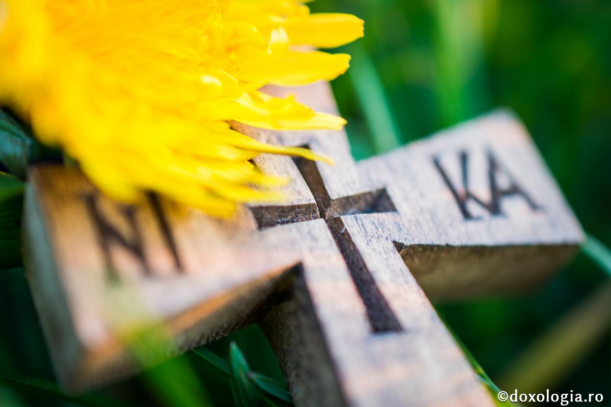 Nu lăsați niciun gând negativ să pătrundă în inima voastră / Foto: Oana Nechifor cruce din lemn alaturi de o floare de papadie