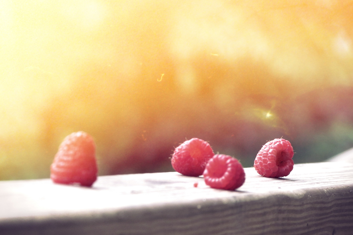 Să ne întoarcem la viața simplă și vom avea liniște și binecuvântare zmeură