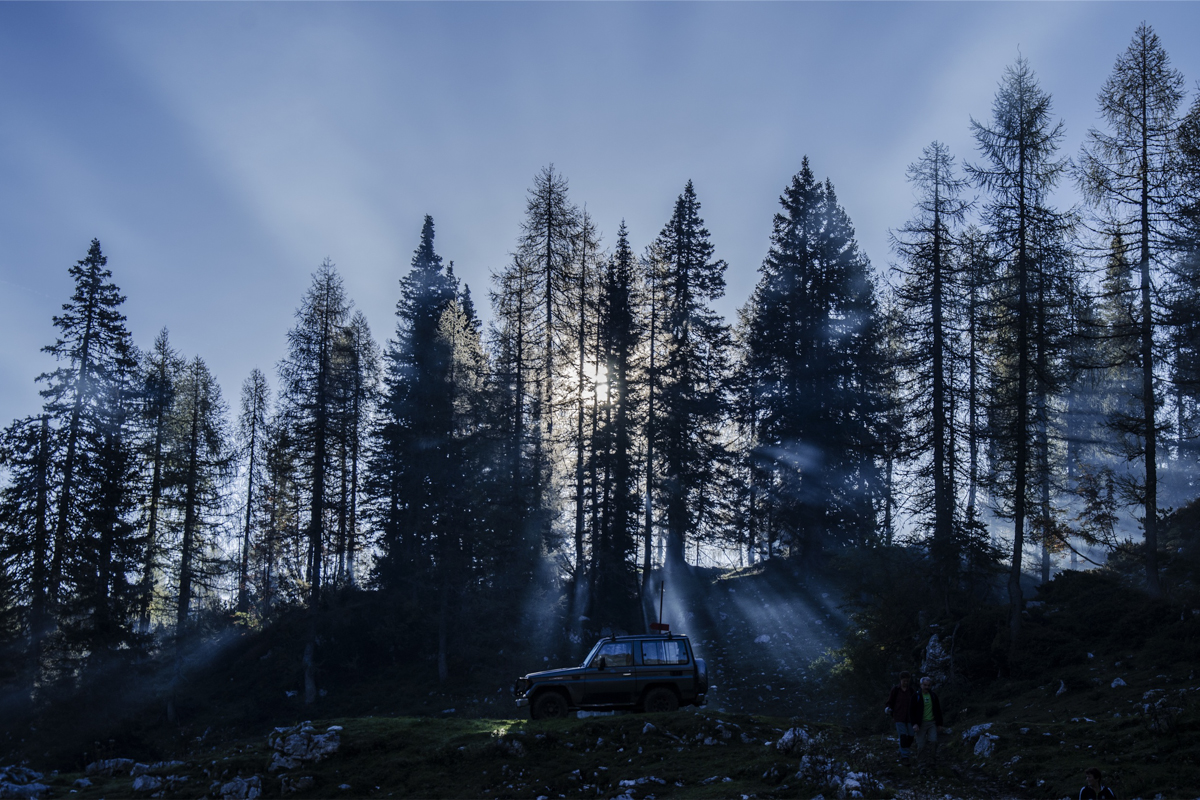 Îngâmfarea și mândria sunt pricină de cădere duhovnicească raze de soare în pădure