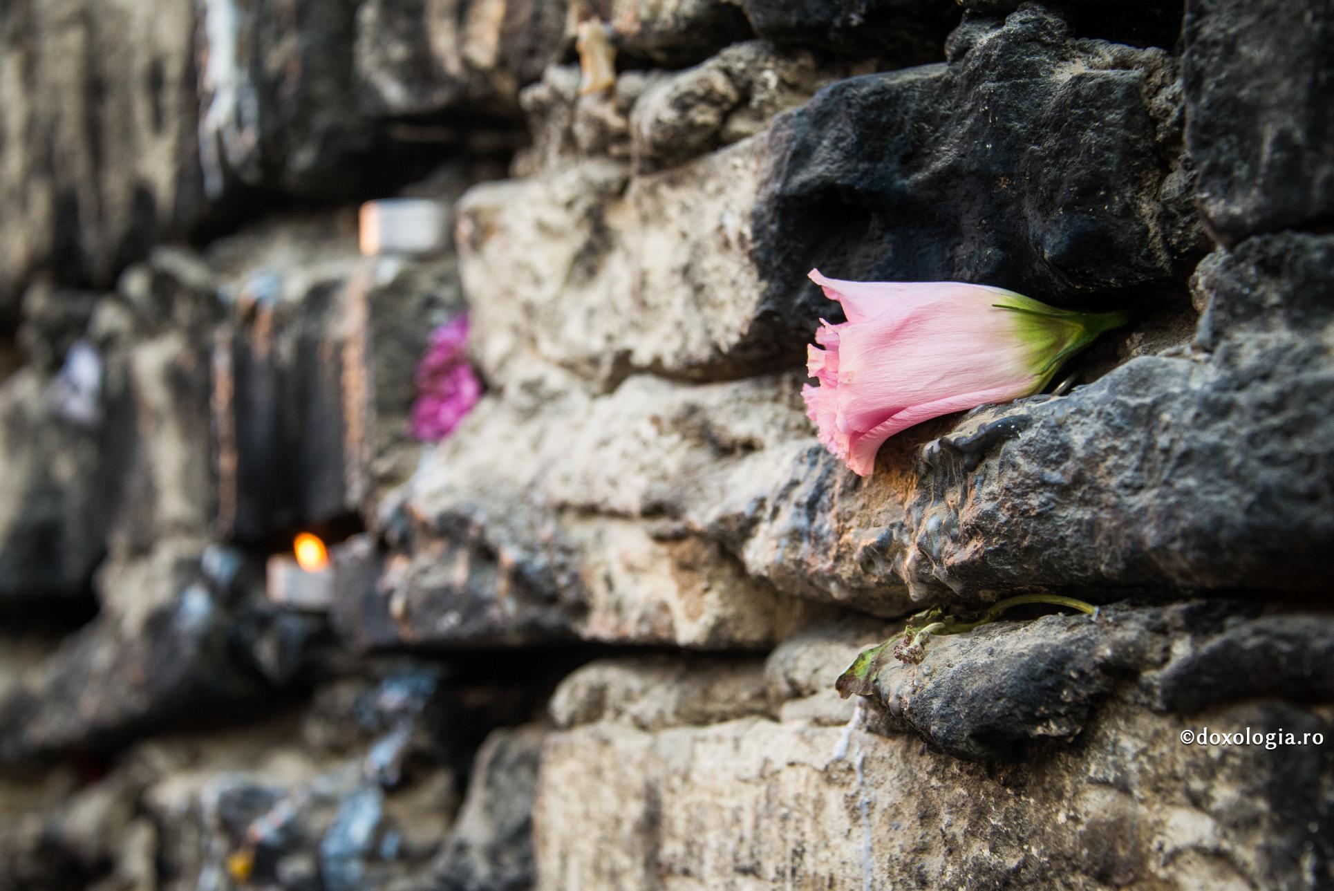 Foto: Oana Nechifor Oare-i ușor să-i iubim pe vrăjmași? Nu e ușor, dar e mântuitor!