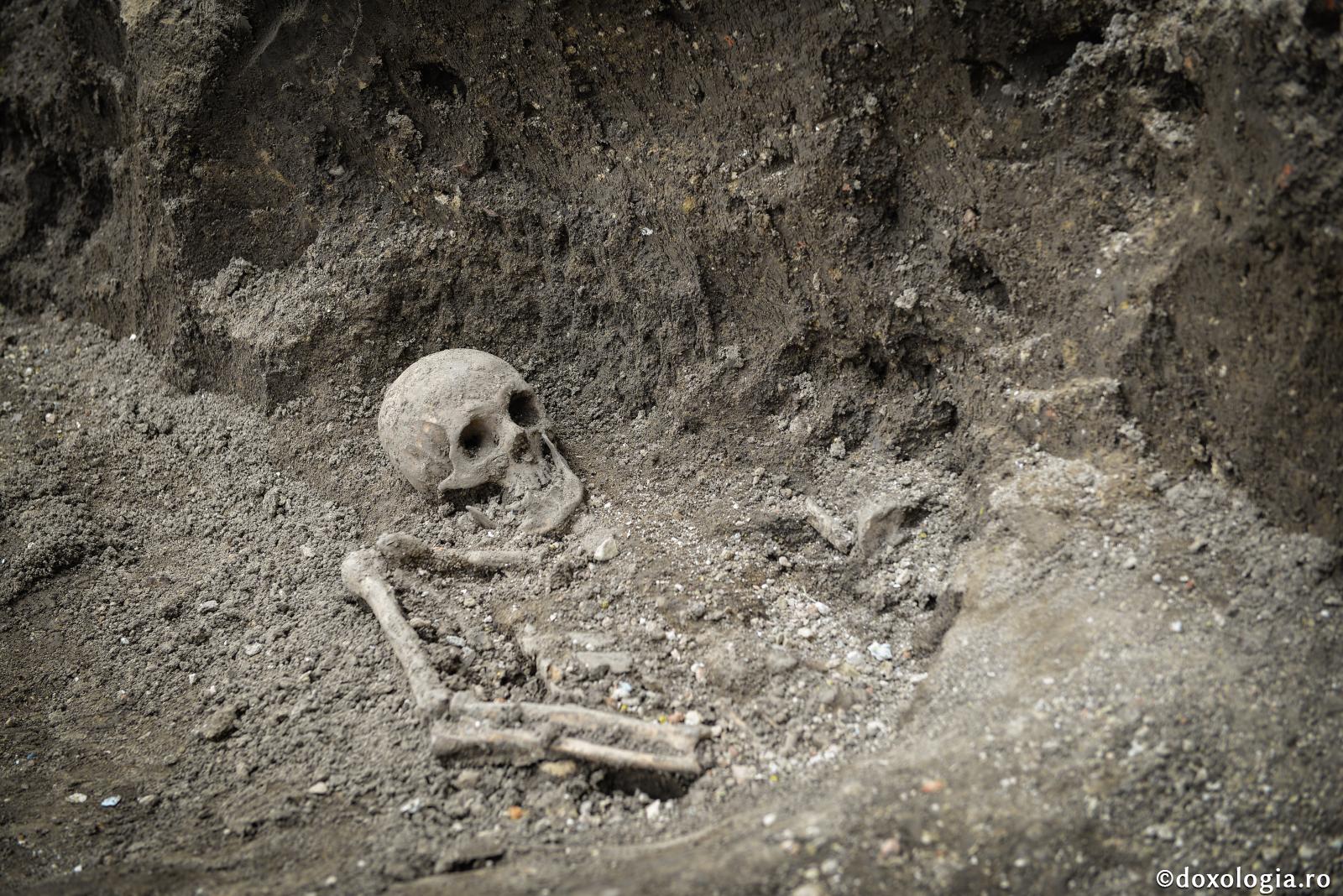 Când moartea și-a frânt mâinile în deznădejde / Foto: doxologia.ro oseminte