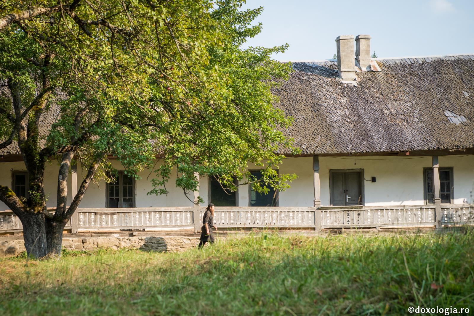 Monahul Damian Țâru – model de înfrânare și stăpânire de sine / Foto: Oana Nechifor Mănăstirea Tarcău