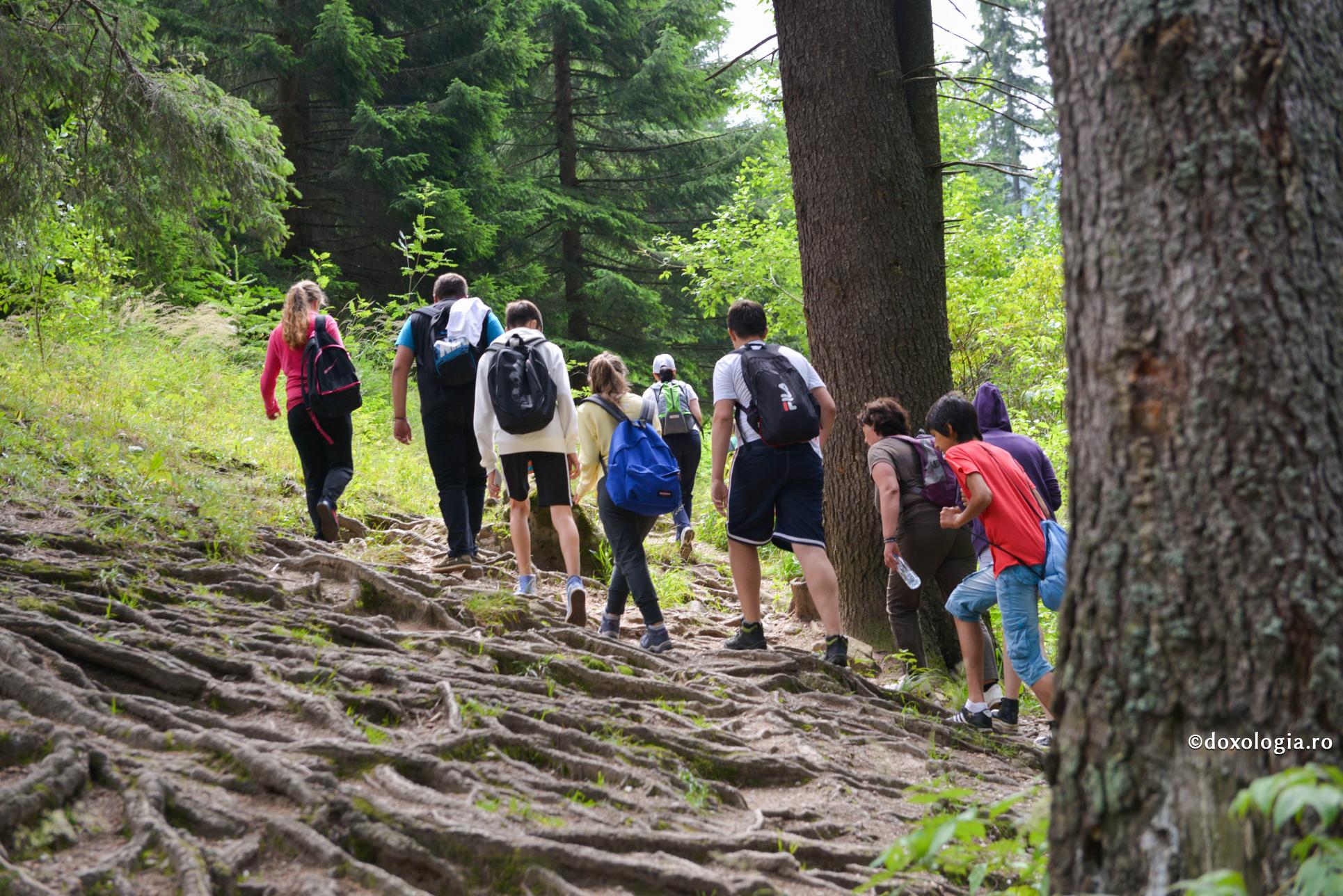 Cine sunt oamenii care trăiesc libertatea totală? / Foto: Oana Nechifor drumeție
