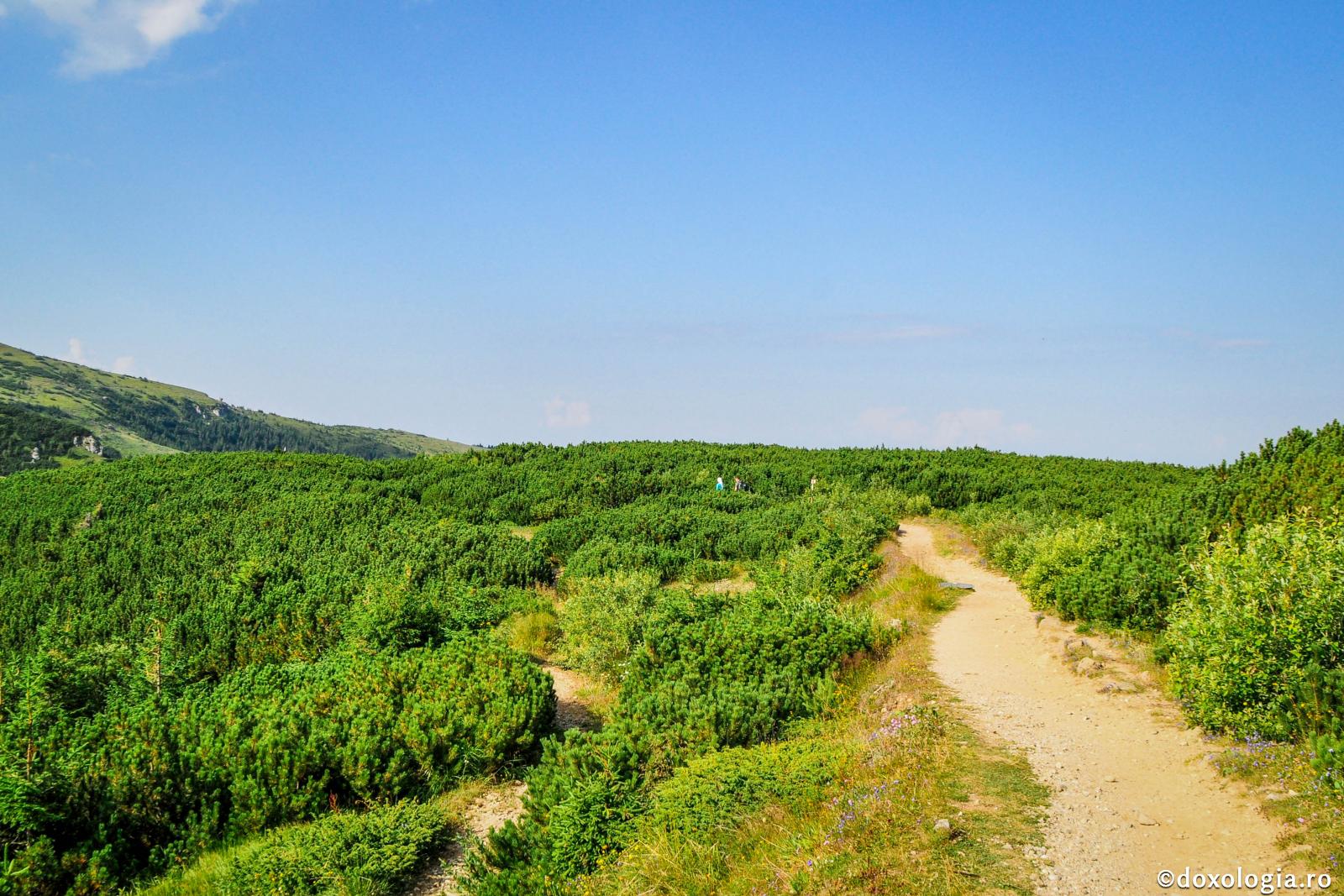 „Întru început a făcut Dumnezeu cerul și pământul” / Foto: Andrei Agache cărare pe munte