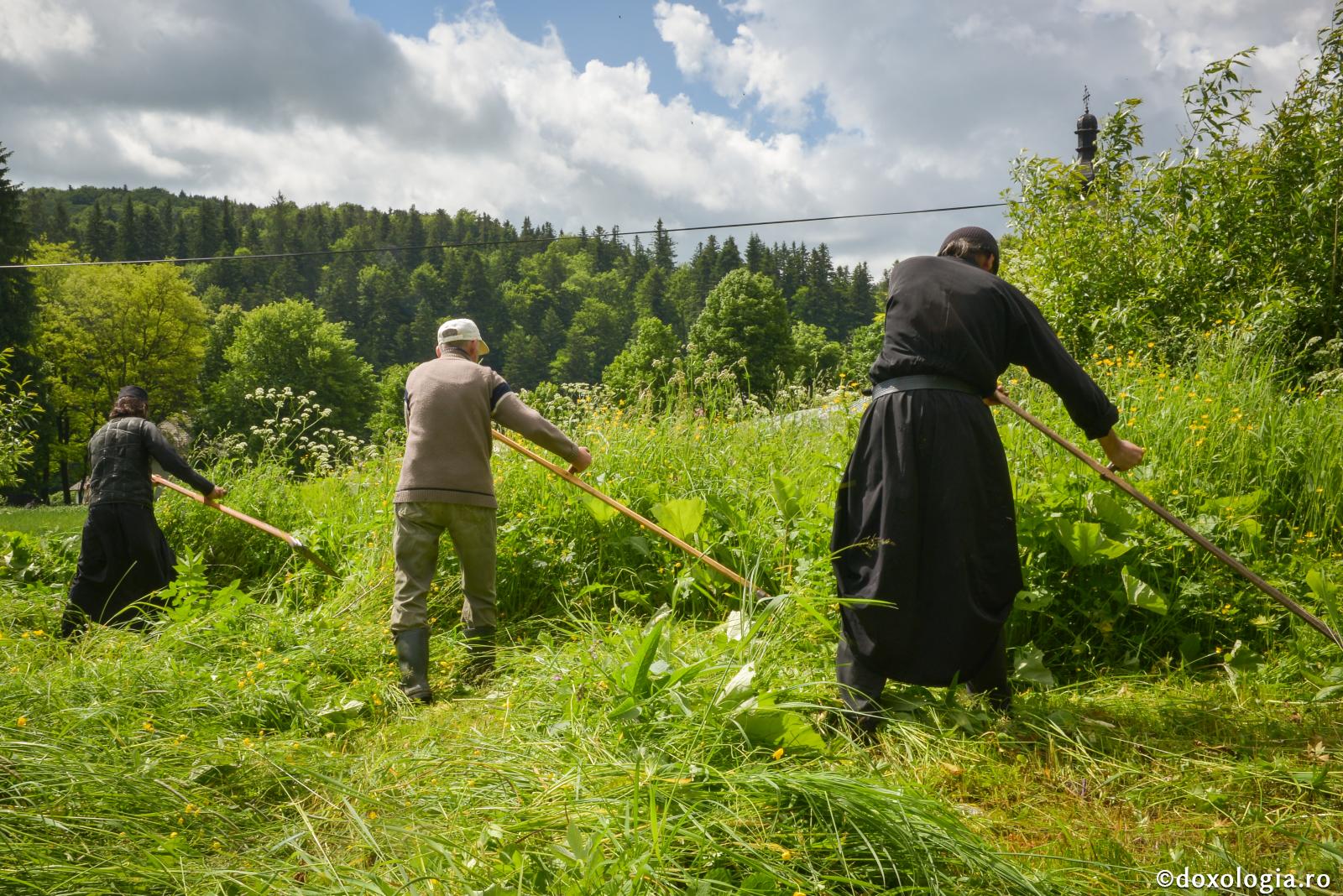 Binecuvântarea aduce binecuvântare, iar nedreptatea aduce catastrofă / Foto: Oana Nechifor călugări cosind iarba
