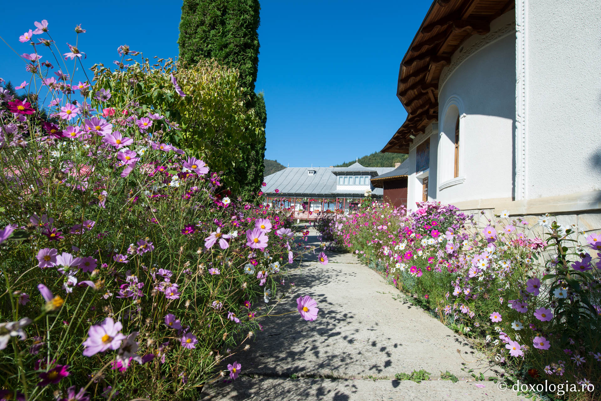 Foto: Oana Nechifor Mănăstirea Horăicioara, „cuibul” iubitorilor de liniște