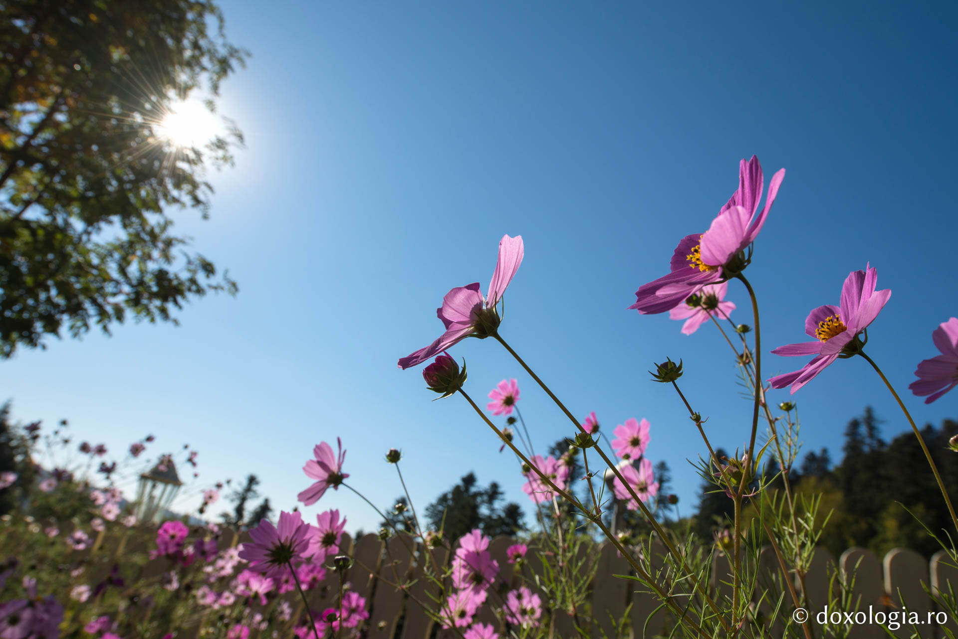 Foto: Oana Nechifor Mănăstirea Horăicioara, „cuibul” iubitorilor de liniște