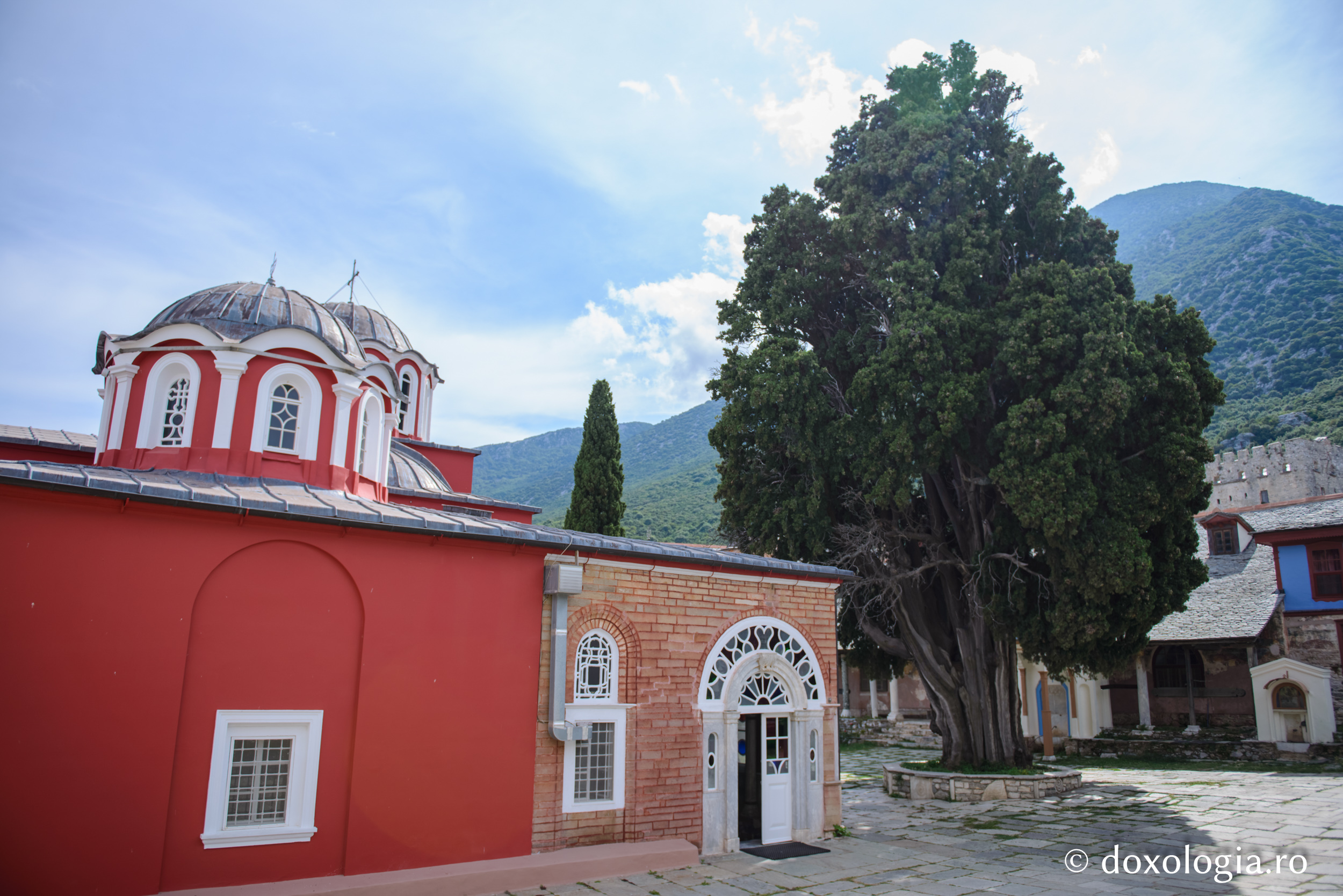 Chiparosul Sfântului Atanasie Athonitul / Foto: Pr. Silviu Cluci Marea Lavră
