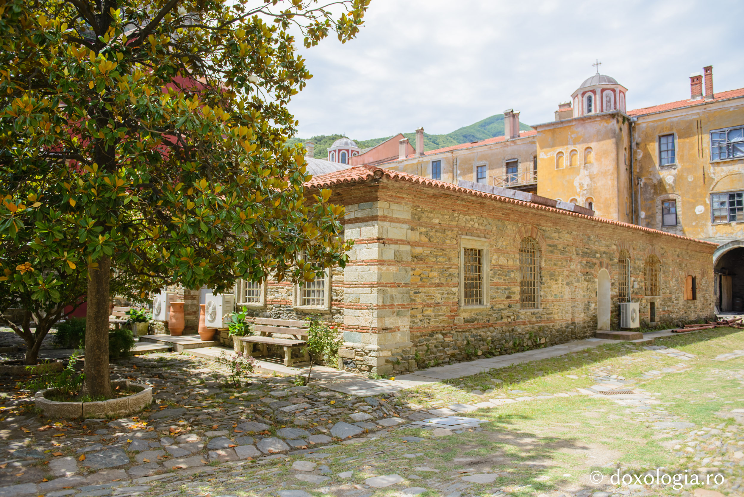 Biblioteca Mănăstirii Iviron / Foto: Pr. Silviu Cluci Biblioteca Mănăstirii Iviron