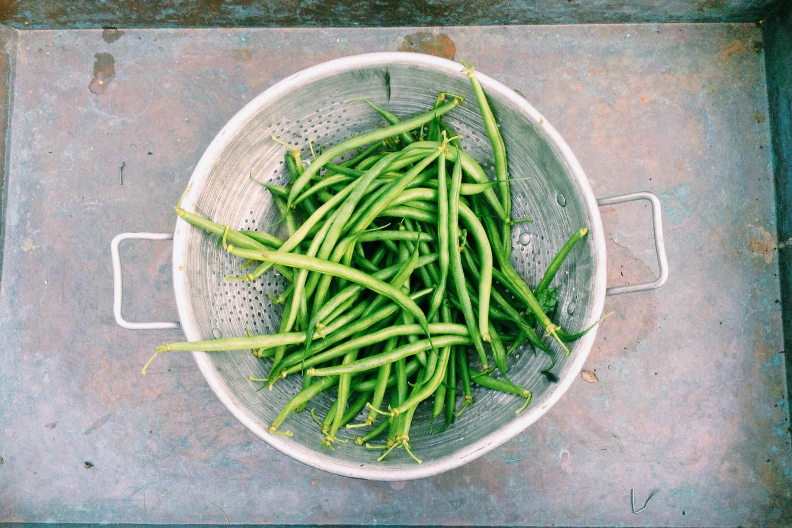 Nu orice post este plăcut lui Dumnezeu Nu orice post este plăcut lui Dumnezeu