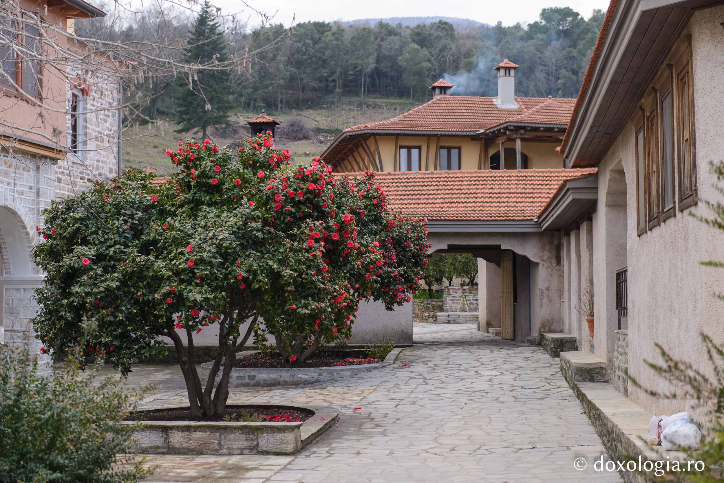 Chilia „Sfântul Ierarh Nicolae” Burazeri – Athos / Foto: Pr. Silviu Cluci Chilia „Sfântul Ierarh Nicolae” Burazeri – Athos