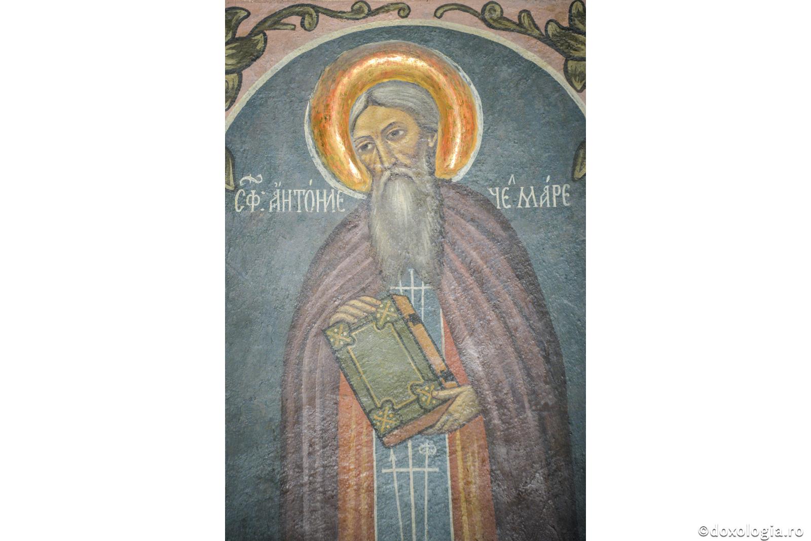 Sfântul Antonie cel Mare în spiritualitatea răsăriteană și apuseană / Foto: Oana Nechifor Sfântul Antonie cel Mare