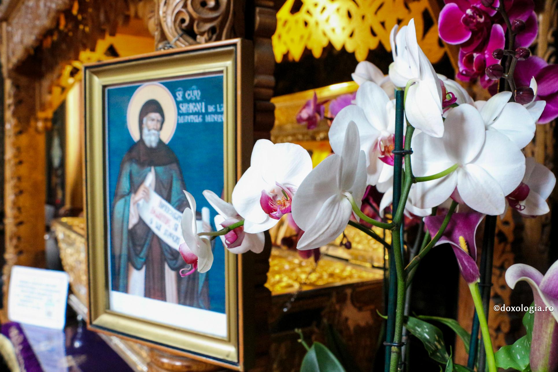 Foto: Cătălin Acasandrei Viața și petrecerea Cuviosului părintelui nostru Simeon cel din Muntele Minunat