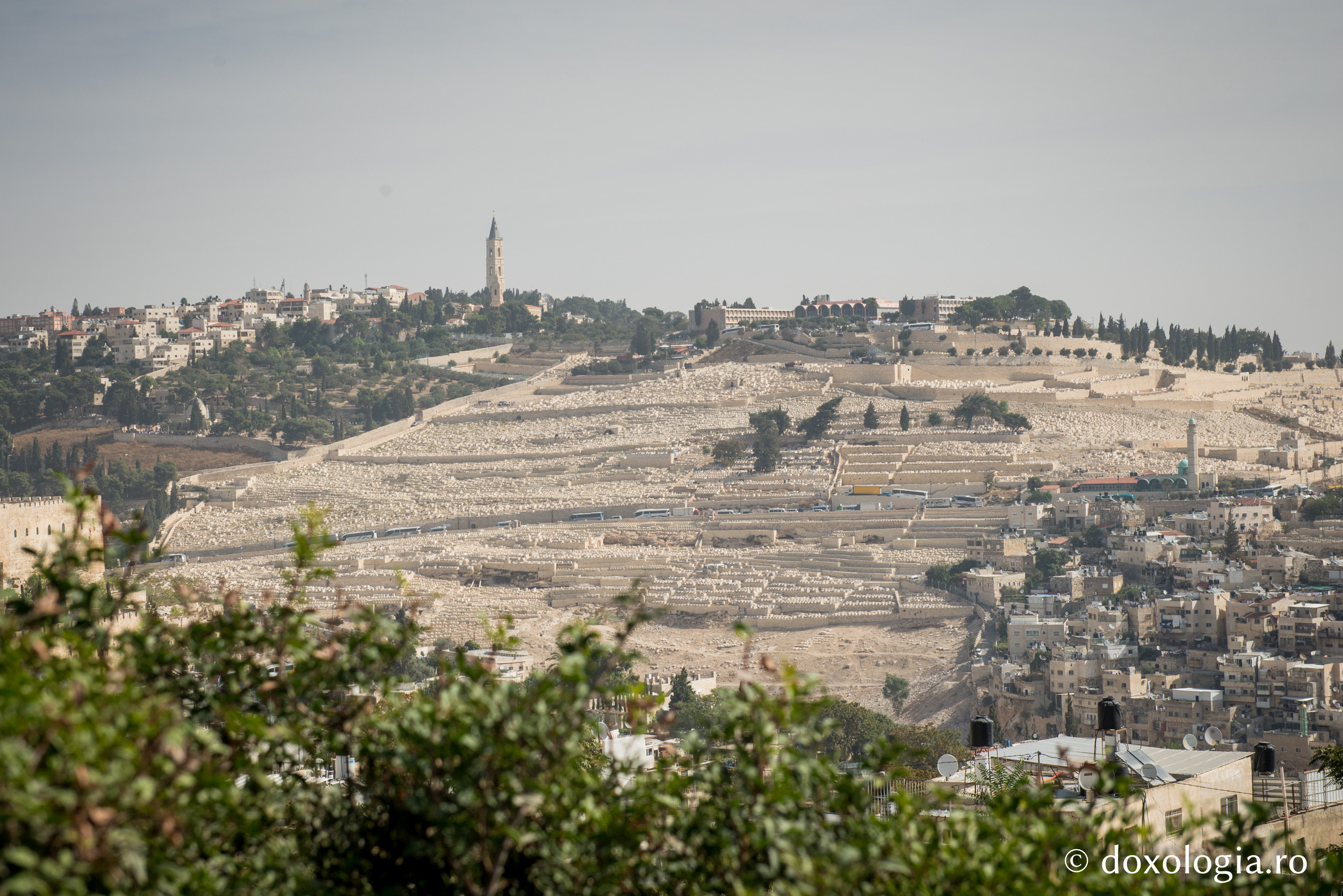 Muntele Măslinilor (Eleon) – vedere de pe Muntele Sion / Foto: Oana Nechifor Muntele Măslinilor (Eleon)