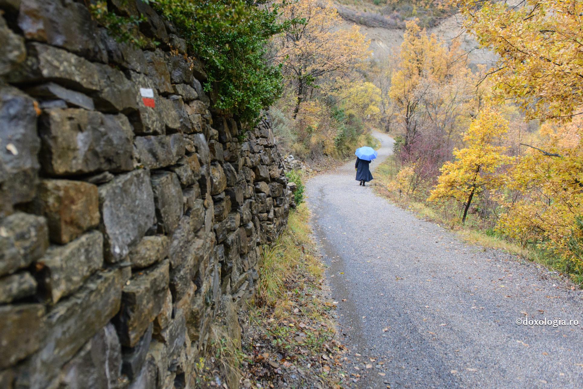 Sfânta Parascheva – ajutor și călăuză pe drumul meu spre mănăstire / Foto: Oana Nechifor drum asfaltat
