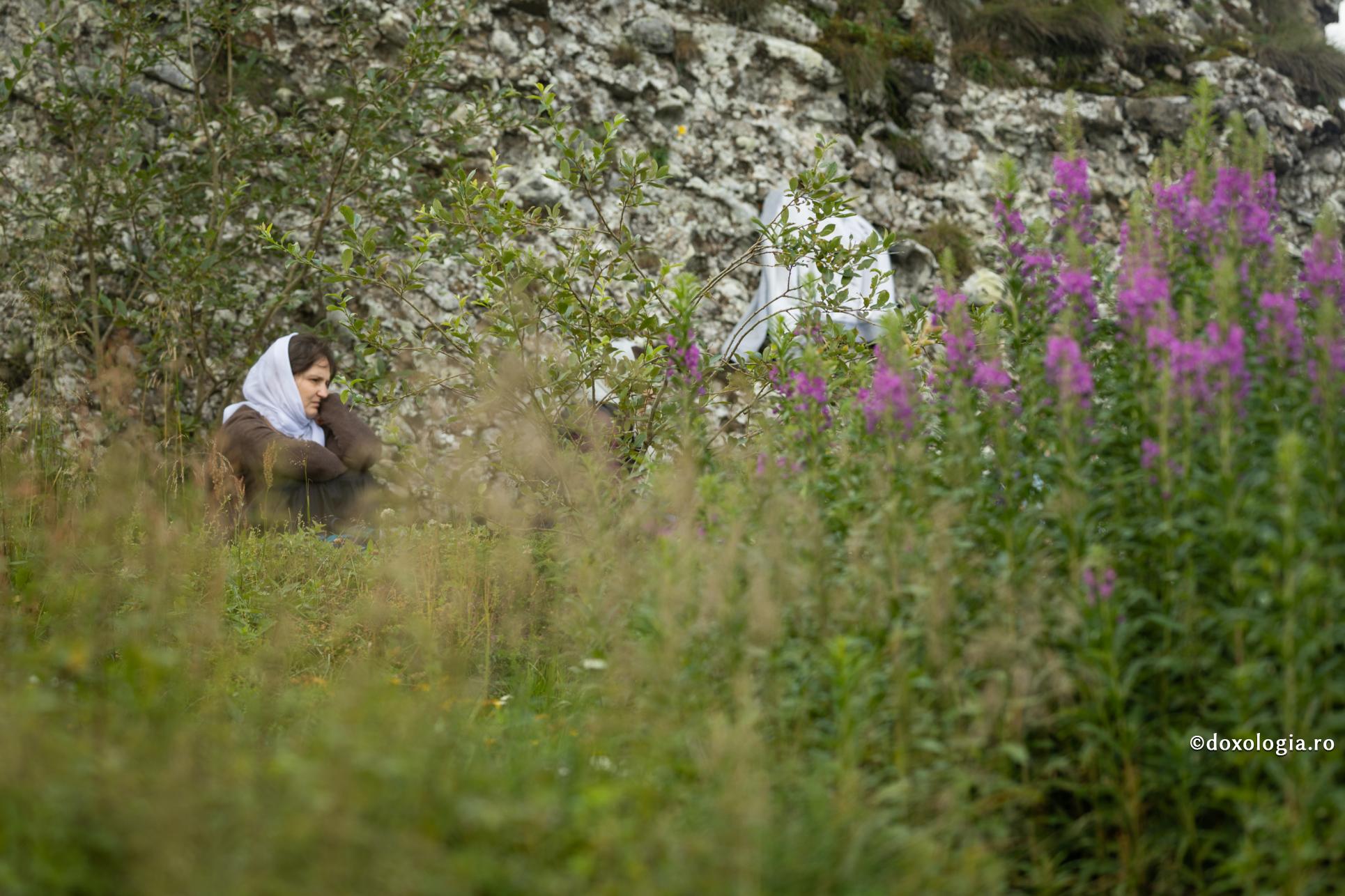 Cuviosul Paisie Aghioritul - Doctoria împotriva stresului / Foto: Oana Nechifor Grijile vieții