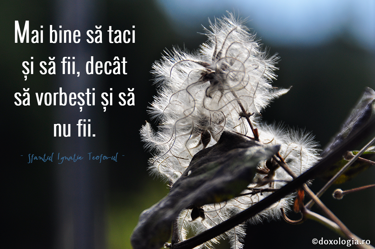 Mai bine să taci și să fii, decât să vorbești și să nu fii Mai bine să taci și să fii, decât să vorbești și să nu fii