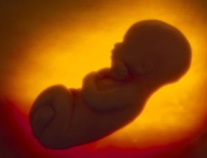 Cea mai îngrozitoare crimă a istoriei Cea mai îngrozitoare crimă a istoriei