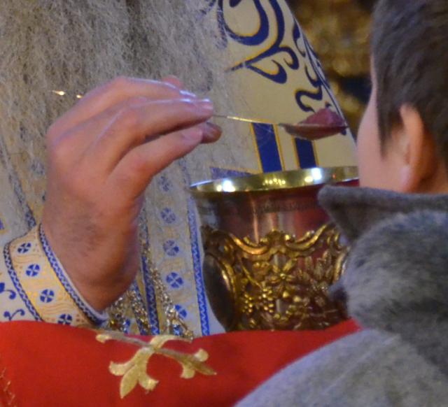 Urechi și inimă de pipăit Urechi și inimă de pipăit