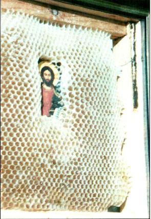 Cinstea albinelor față de Sfintele icoane Cinstea albinelor față de Sfintele icoane