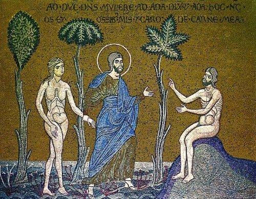 Omul este „regele creaţiei” Omul este „regele creaţiei”