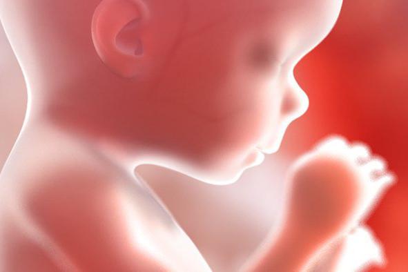 Embrionul: persoană umană sau produs de concepție?