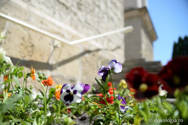 Foto: Ștefan Cojocariu Lumea este dovada iubirii lui Dumnezeu pentru om