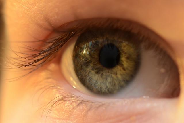 Viața – imaginea gândurilor noastre Viața – imaginea gândurilor noastre