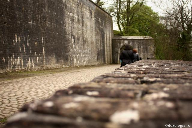 Foto: Andreea Trandafir Minciuna are nevoie de adevăr ca să existe
