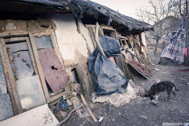 Foto: Oana Nechifor Dragostea ascunsă în durere