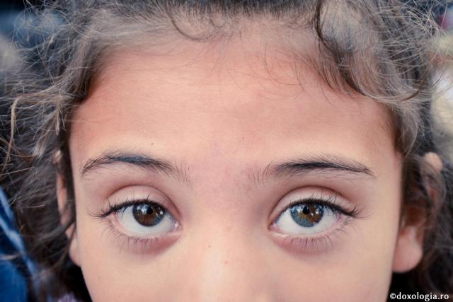 Cine are ochi de văzut, să vadă! / Foto: doxologia.ro ochi