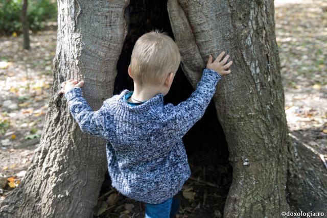 copil lângă un copac