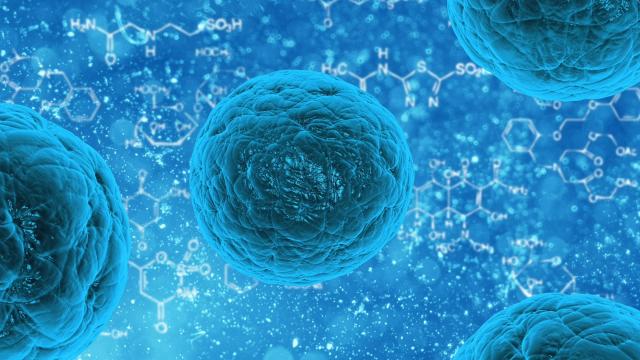 Terapia cu celule stem poate încetini evoluţia bolilor Alzheimer şi Parkinson
