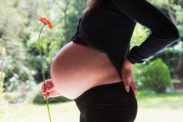 O dietă bogată în grăsimi pe parcursul sarcinii poate afecta dezvoltarea creierului copilului