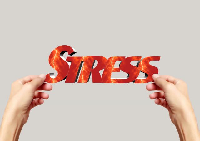 Stresul prelungit poate duce la micșorarea creierului