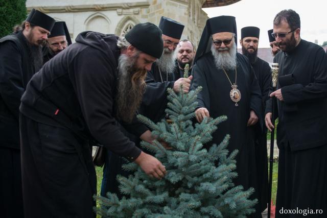 Tradiție la Mănăstirea Putna: Patriarhul Antiohiei a plantat un brad