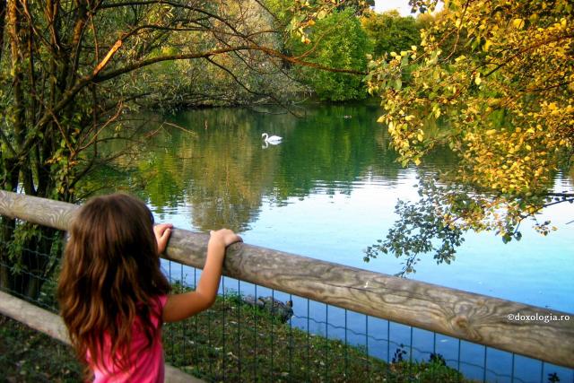 Foto: Andreea Trandafir Tumoarea operată în vis de Sfântul Luca al Crimeei