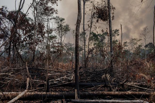 Patriarhul Ecumenic, despre incendiile globale: „Astfel de fenomene extreme ne obligă să luăm în considerare fragilitatea fundamentală a naturii”