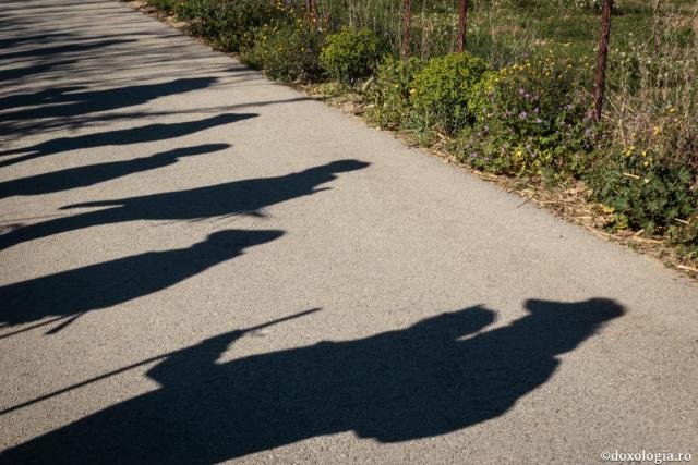 Foto: Oana Nechifor Căsătoriți, necăsătoriți sau monahi – toți avem o datorie comună