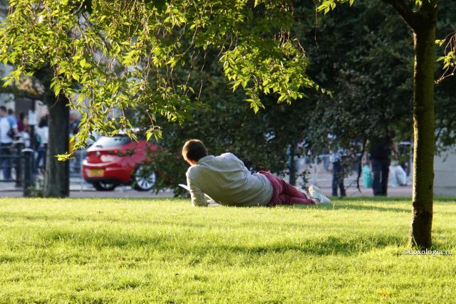 bărbat stând pe iarbă