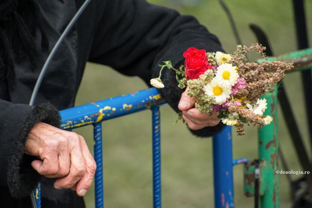 Răbdarea este iubire, și fără iubire nu poți avea răbdare / Foto: Oana Nechifor flori și busuioc în mână