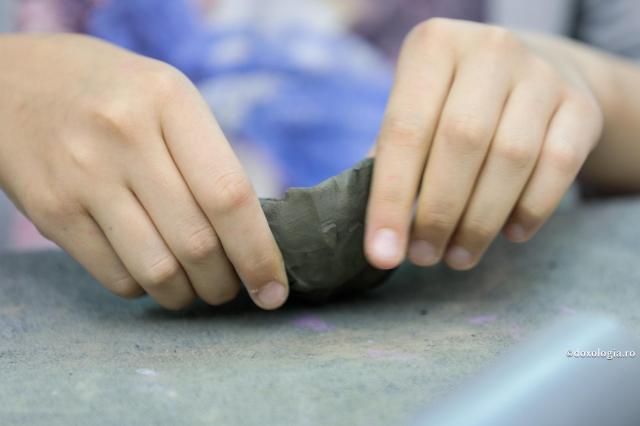 Foto: Oana Nechifor Făptuind, vom afla mântuirea