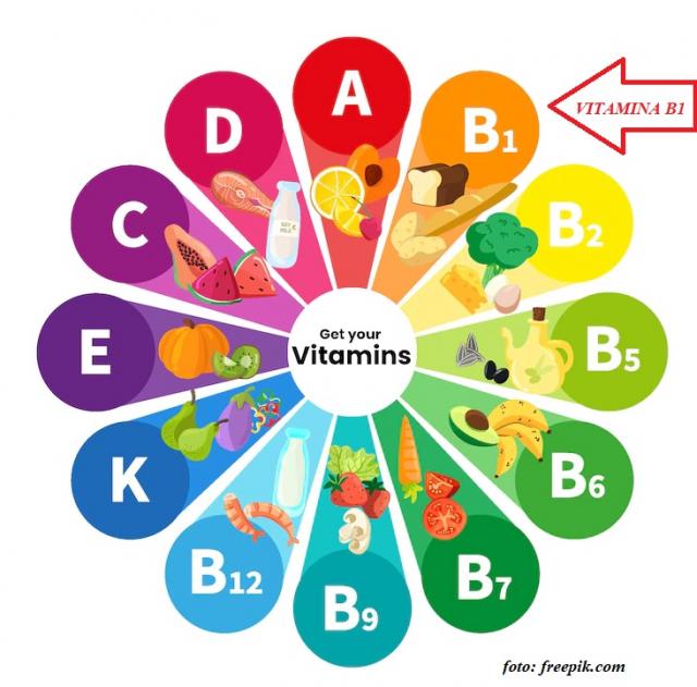 Deficitul de vitamina B1: cum ne afectează și cum îl corectăm – interviu cu nutriționist Mihaela Brebu, din cadrul Spitalului Providența